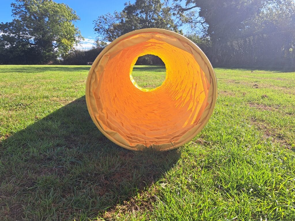 Orange agility tunnel in the field at Foxholes Farm